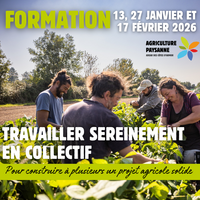 Travailler sereinement en collectif