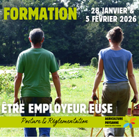 Être employeur : réglementation et posture