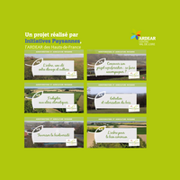 Les vidéos sur l'agroforesterie