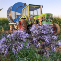 Actualités