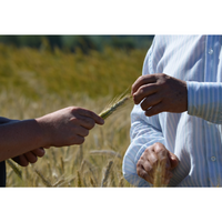 Les enjeux de la transmission en agriculture 