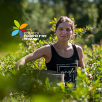 Cartographie des initiatives agri-rurales sur le genre