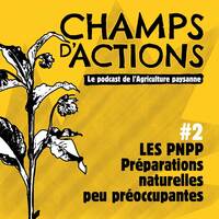 Un Podcast de la Conf sur les PNPP