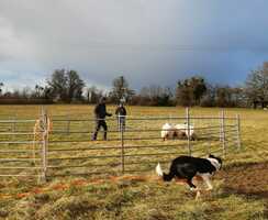 Se faire accompagner sur sa ferme 