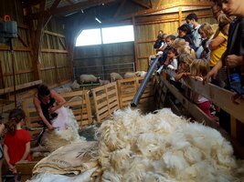De ferme en ferme