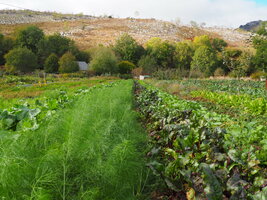 Chiffrer son projet en Agriculture Paysanne