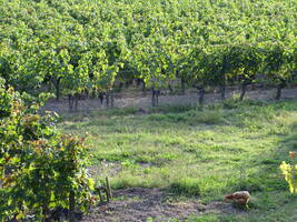 FONCIER & FERME / ASSOCIATIONS
