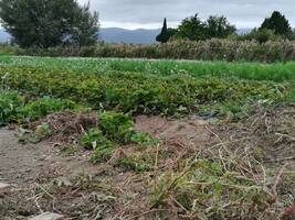 L’agriculture paysanne