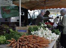 La Charte de l’Agriculture paysanne