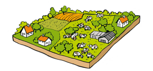 L’agriculture paysanne