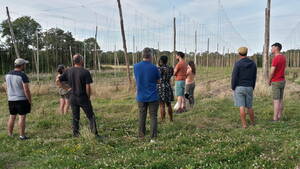 Les Apéros Installation