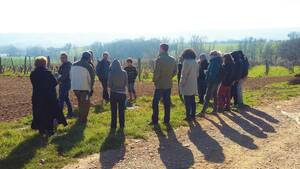 Accompagnement individuel 