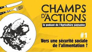 Un Podcast de la Conf sur la Sécurité Sociale Alimentaire