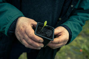 Chercher et tester son repreneur
