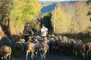 Visites de ferme