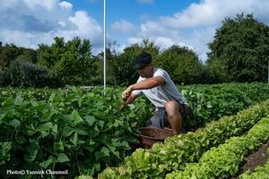 Les ADEAR, un réseau associatif au service de l'agriculture paysanne