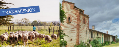 TRANSMISSION | EXPLOITATION FERME OVIN LAIT BIO EN TRANSFORMATION ET VENTE DIRECTE CLÉ EN MAIN AVEC GROS POTENTIEL DE DÉVELOPPEMENT ENTRE TOULOUSE ET MONTAUBAN 