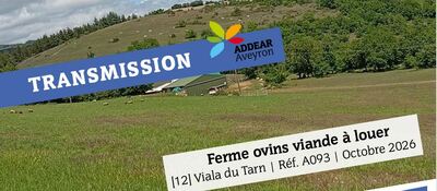 TRANSMISSION | Ferme ovins viande à louer