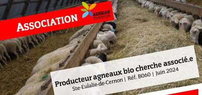 ASSOCIATION | Producteur agneaux bio cherche associé.e