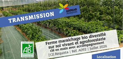 TRANSMISSION | Ferme maraîchage bio diversifié sur sol vivant et agroforesterie clé en main avec accompagnement
