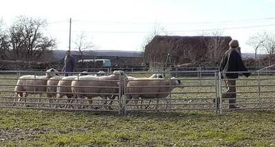 Point Info Transmission : Anticiper et préparer la transmission de sa ferme