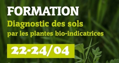 Faire son diagnostic des sols par l’étude des plantes bio-indicatrices