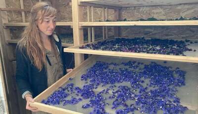 Loir-et-Cher : dans l'atelier de Mélanie, herboriste à Monthou-sur-Bièvre