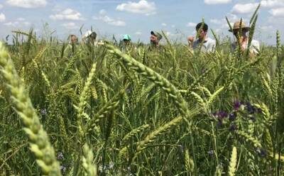 Installation et transmission : des solutions pour aider les agriculteurs en Eure-et-Loir