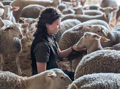 Eure-et-Loir : jeune installée, Lucie Dumez relance l'élevage ovin sur l'exploitation céréalière familiale en Beauce