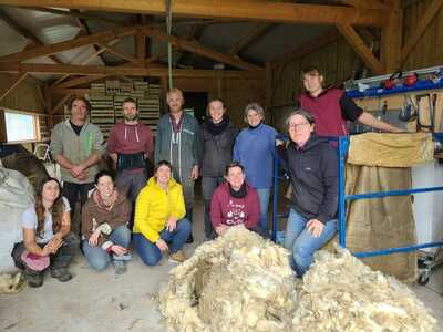 Collectivement, valoriser la laine locale, c’est possible ! 