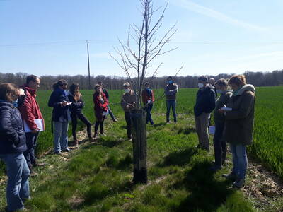 Retour sur la formation agroforesterie