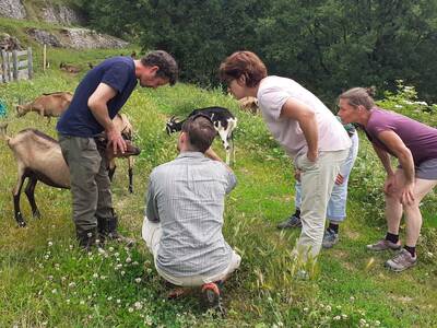 Addearg - Programme d'actions 2021-2022
