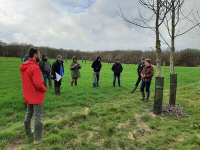 Une formation pour mettre en place un projet agroforestier