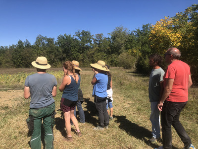 🌱 GIEE Maraîchage sur Sol Vivant – Sud Quercy