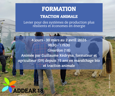 LA TRACTION ANIMALE, LEVIER POUR DES SYSTÈMES DE PRODUCTION PLUS RÉSILIENTS ET ÉCONOMES EN ÉNERGIE
