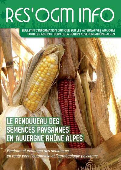 Les Maïs Population, qu'est-ce donc ?
