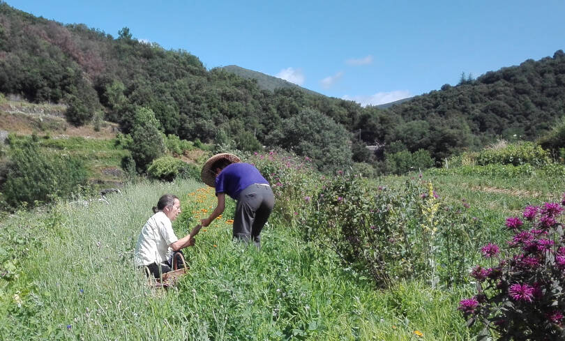 S'associer : le CEFI pour se tester avant de se lancer