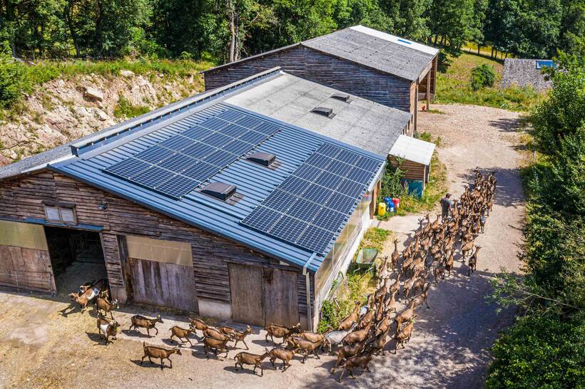 Visites de fermes