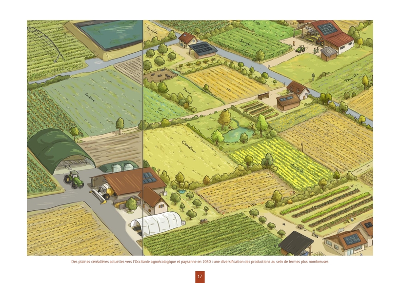 Des plaines céréalières actuelles vers l'Occitanie agroécologique et paysanne en 2050 : une diversification des productions au sein de fermes plus nombreuses