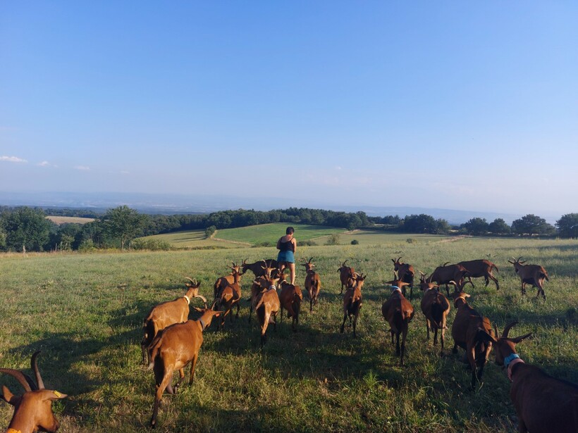 Ferme du Colombier (11) - Programme TerriaOcc