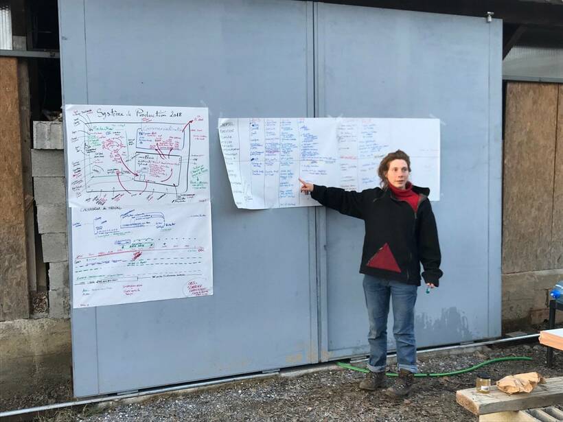 Les visites et analyses de fermes : pour ancrer votre projet dans la réalité