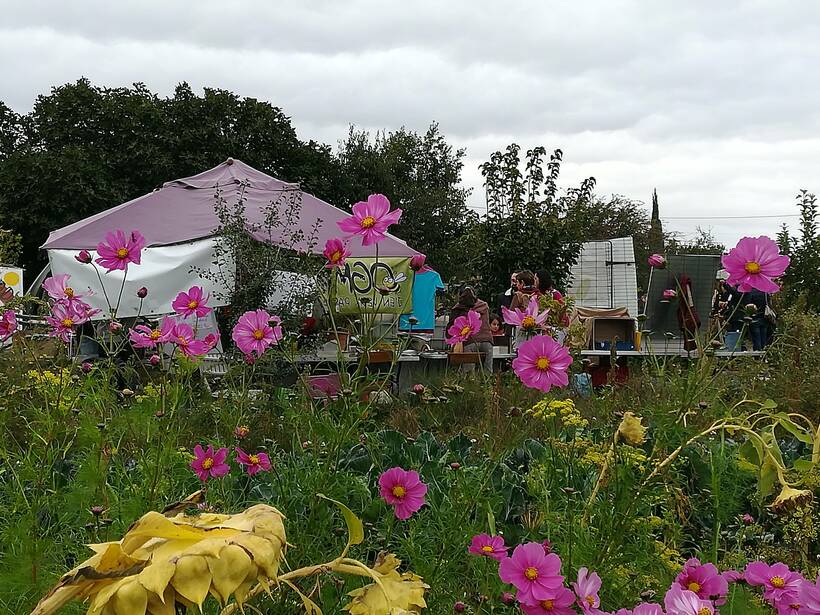 Fête de l'Agriculture Paysanne à Vaugines