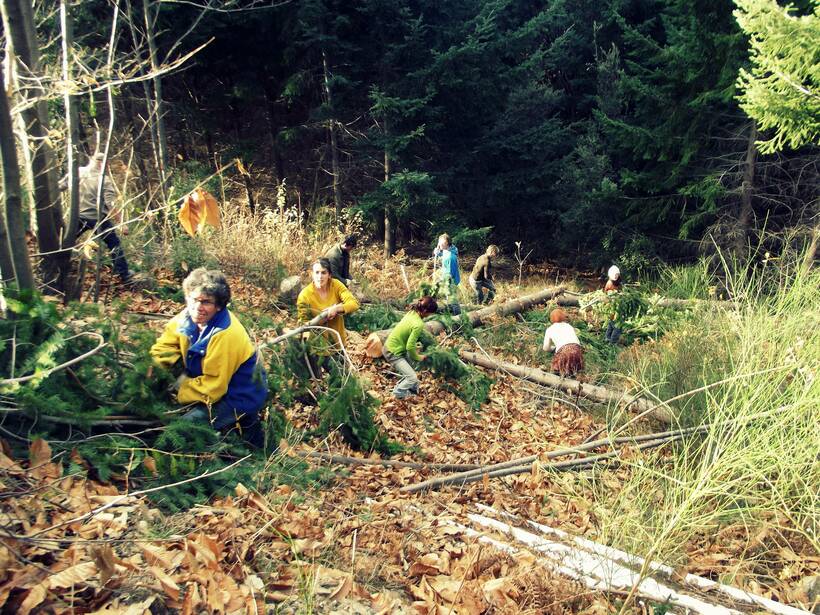 Un réseau paysan solidaire