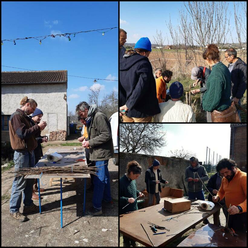 Formation greffage des arbres fruitiers
